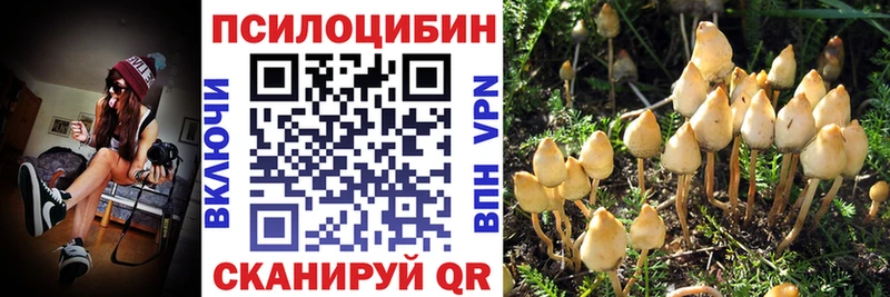 Псилоцибиновые грибы Cubensis Саров