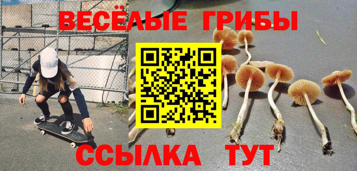 Псилоцибиновые грибы Magic Shrooms Саров