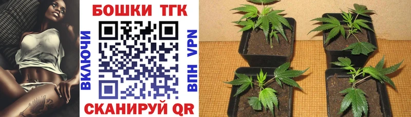 Бошки Шишки гибрид  omg ТОР  Саров  что такое  